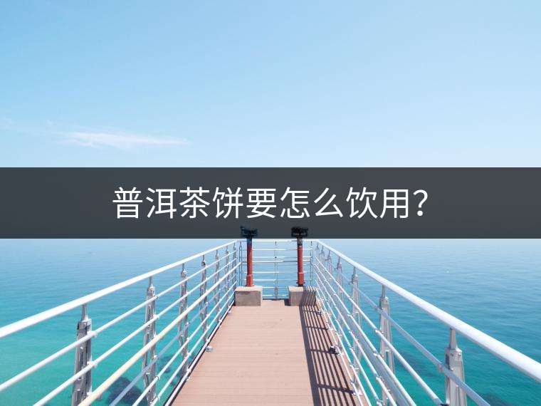 普洱茶餅要怎么飲用？