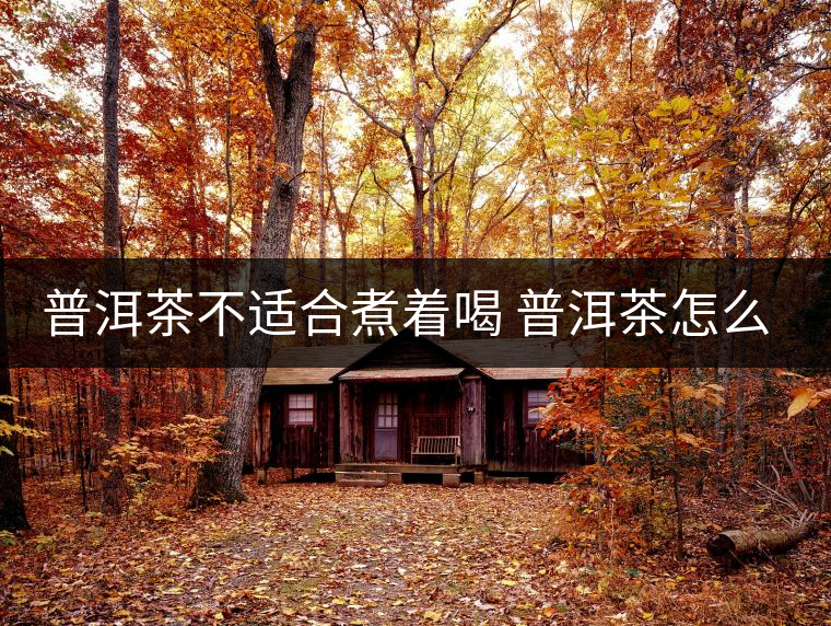 普洱茶不適合煮著喝 普洱茶怎么喝？