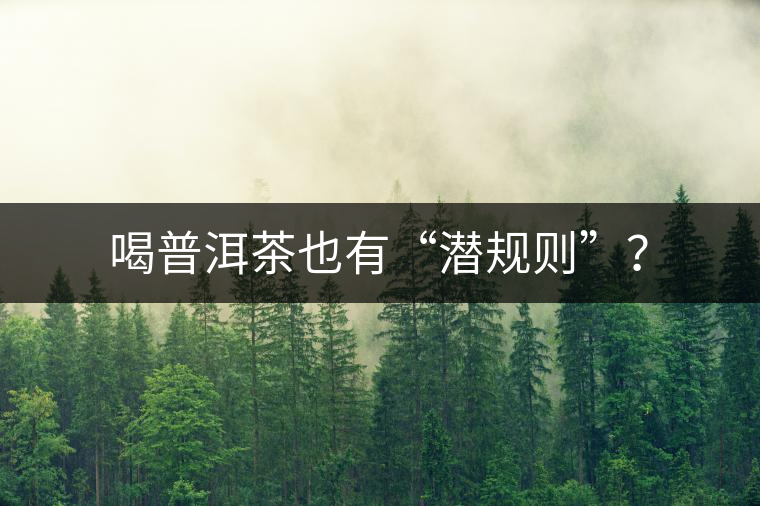 喝普洱茶也有“潛規(guī)則”？