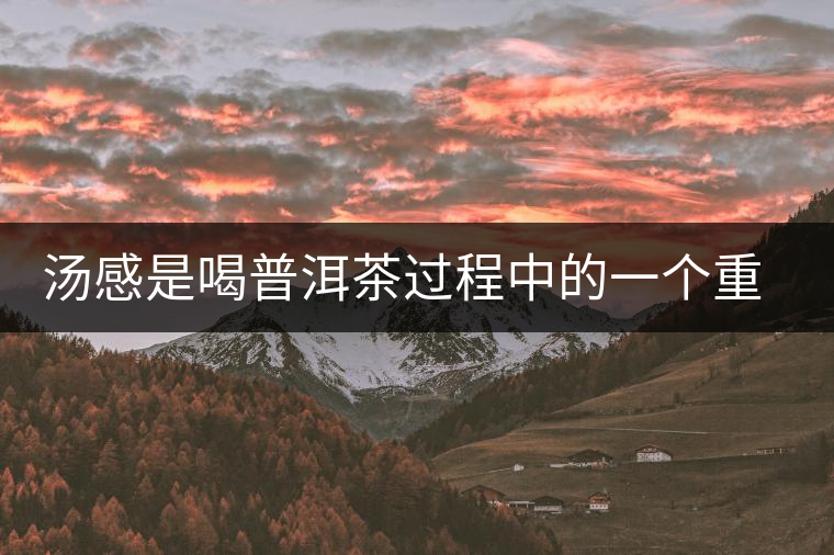 湯感是喝普洱茶過程中的一個重要感覺 湯感是喝普洱茶過程中的一個重要感覺