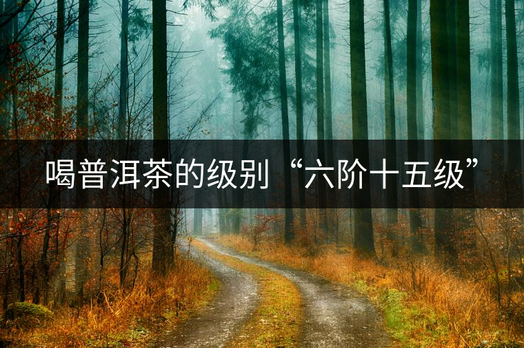 喝普洱茶的級(jí)別“六階十五級(jí)”