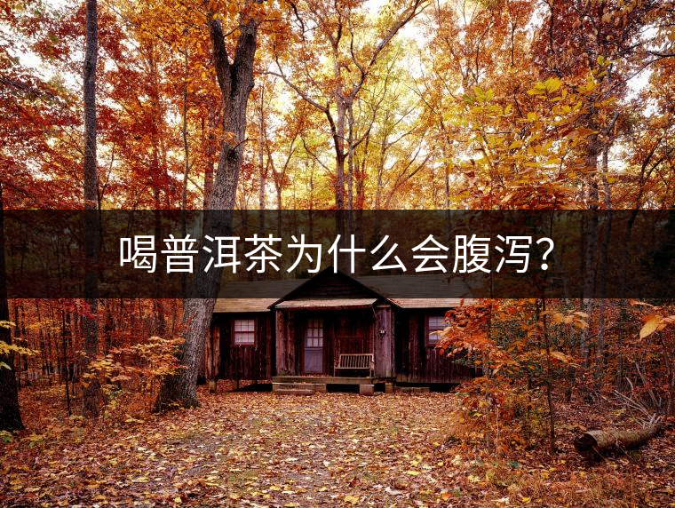 喝普洱茶為什么會腹瀉？