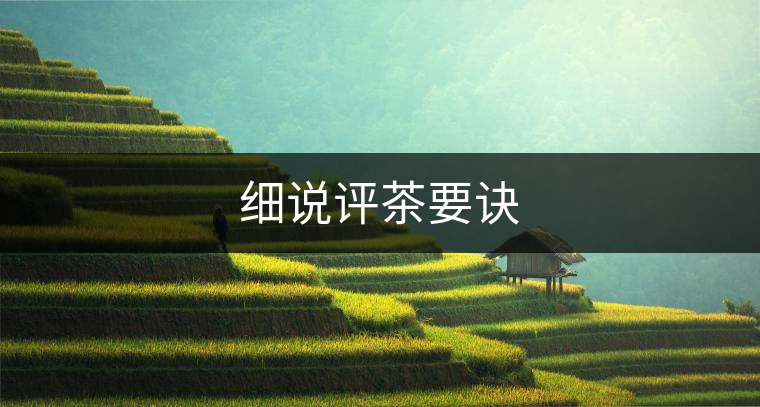 細(xì)說評(píng)茶要訣