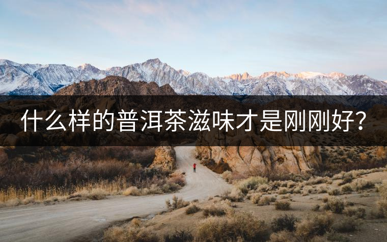 什么樣的普洱茶滋味才是剛剛好？
