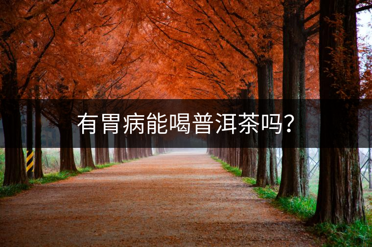 有胃病能喝普洱茶嗎？