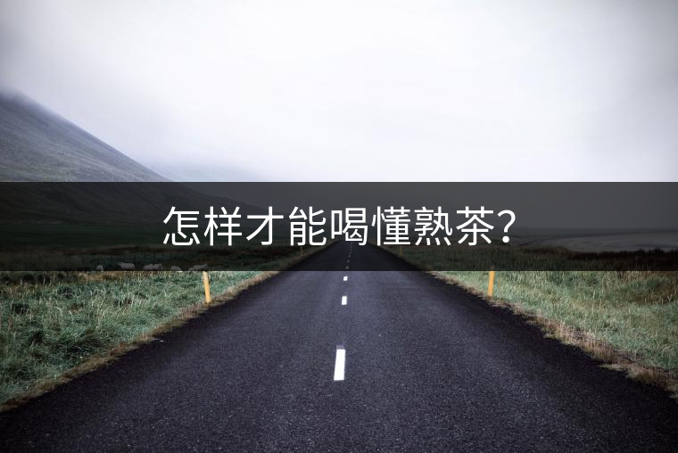 怎樣才能喝懂熟茶？