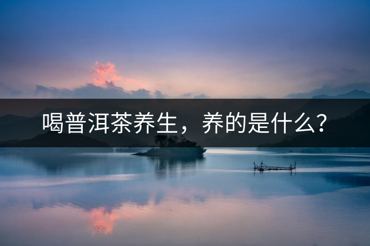 喝普洱茶養(yǎng)生，養(yǎng)的是什么？