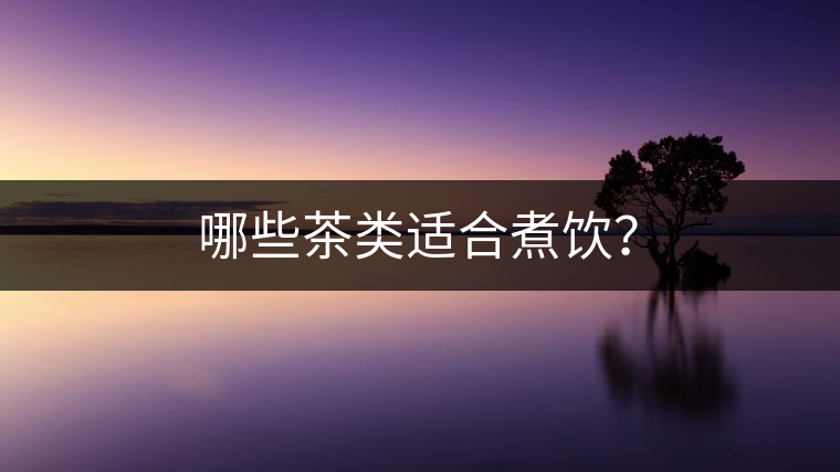 哪些茶類適合煮飲？