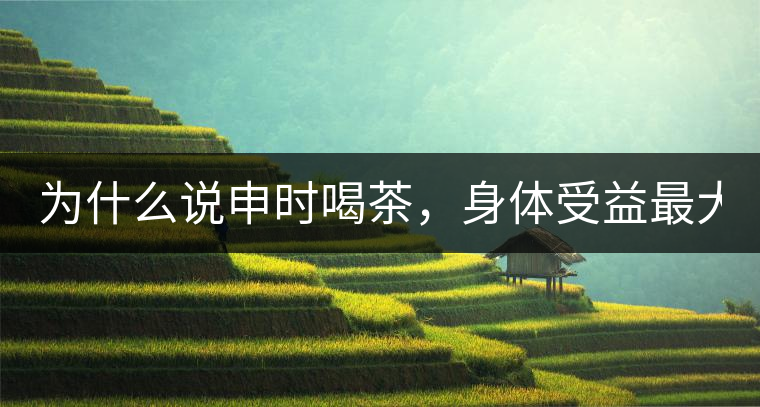 為什么說(shuō)申時(shí)喝茶，身體受益最大？