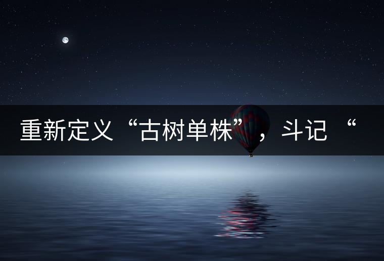 重新定義“古樹(shù)單株”，斗記 “超級(jí)審評(píng)”有償招募告罄在即！