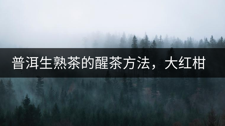 普洱生熟茶的醒茶方法，大紅柑與小青柑對比