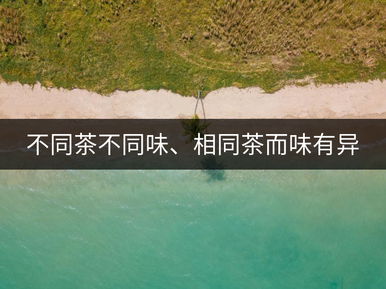 不同茶不同味、相同茶而味有異