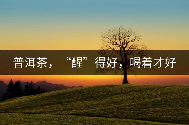 普洱茶，“醒”得好，喝著才好