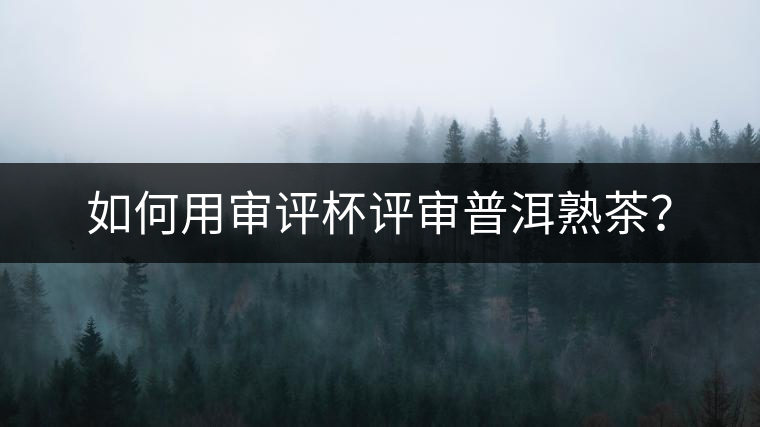 如何用審評杯評審普洱熟茶？