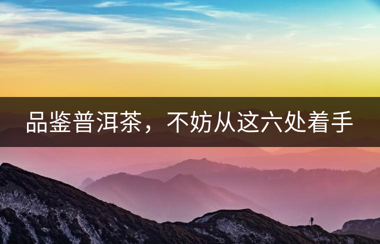 品鑒普洱茶，不妨從這六處著手