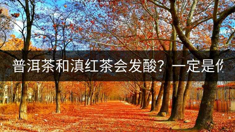 普洱茶和滇紅茶會發(fā)酸？一定是你這么做了！