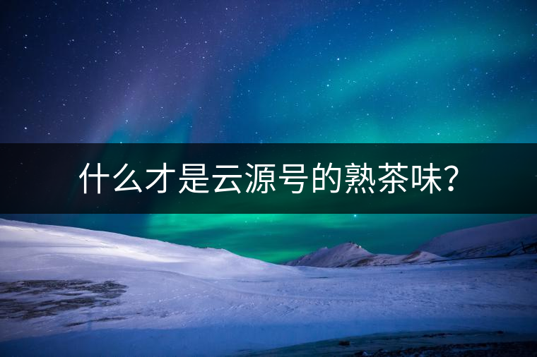 什么才是云源號的熟茶味？