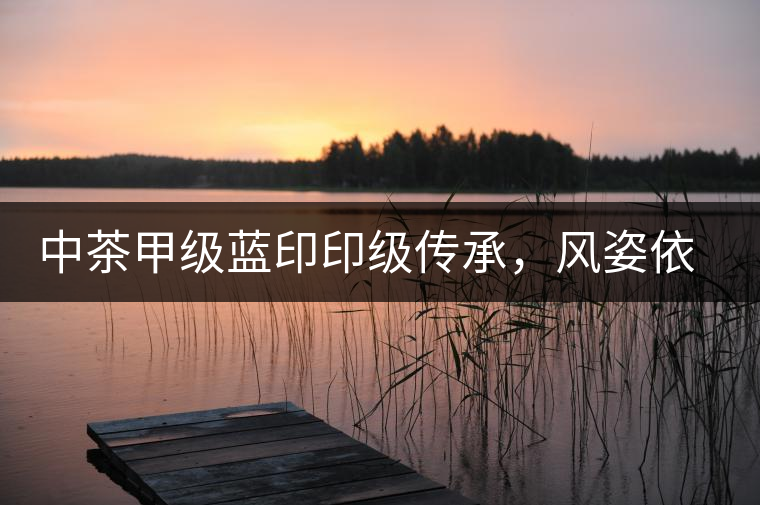 中茶甲級(jí)藍(lán)印印級(jí)傳承，風(fēng)姿依舊