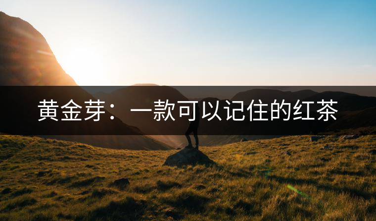 黃金芽：一款可以記住的紅茶