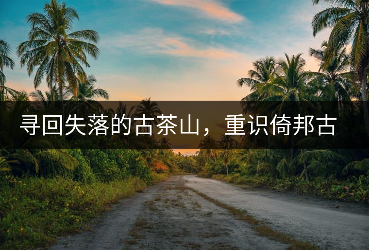 尋回失落的古茶山，重識倚邦古韻