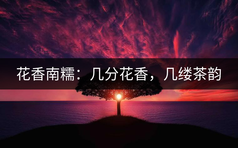 花香南糯：幾分花香，幾縷茶韻