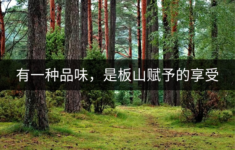 有一種品味，是板山賦予的享受