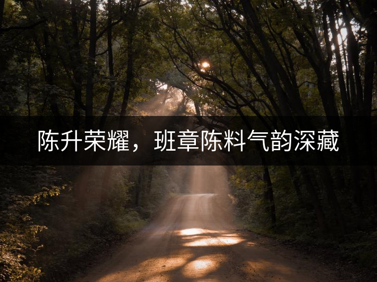 陳升榮耀，班章陳料氣韻深藏