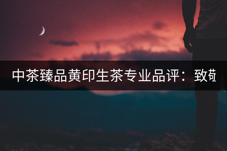 中茶臻品黃印生茶專業(yè)品評(píng):致敬經(jīng)典 再啟新篇 中茶臻品黃印生茶專業(yè)品評(píng):致敬經(jīng)典 再啟新篇