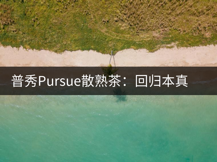 普秀Pursue散熟茶：回歸本真，一款高性價比口糧散熟茶