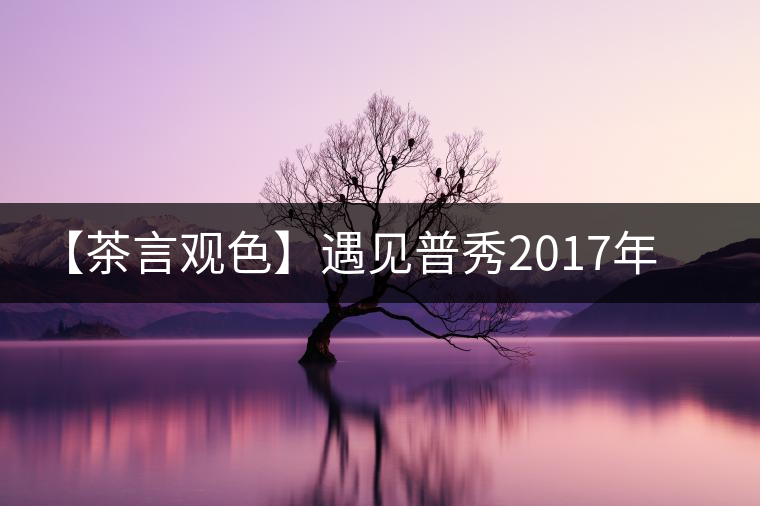 【茶言觀色】遇見(jiàn)普秀2017年甲級(jí)沱茶 【茶言觀色】遇見(jiàn)普秀2017年甲級(jí)沱茶