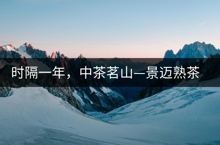 時隔一年，中茶茗山—景邁熟茶有哪些變化