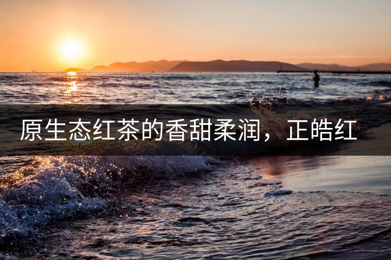 原生態(tài)紅茶的香甜柔潤，正皓紅的魅力無可抵擋！
