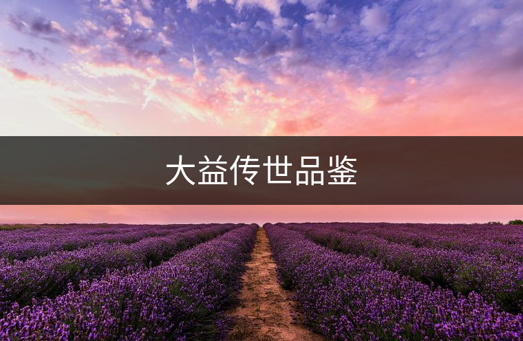 大益?zhèn)魇榔疯b 大益?zhèn)魇榔疯b