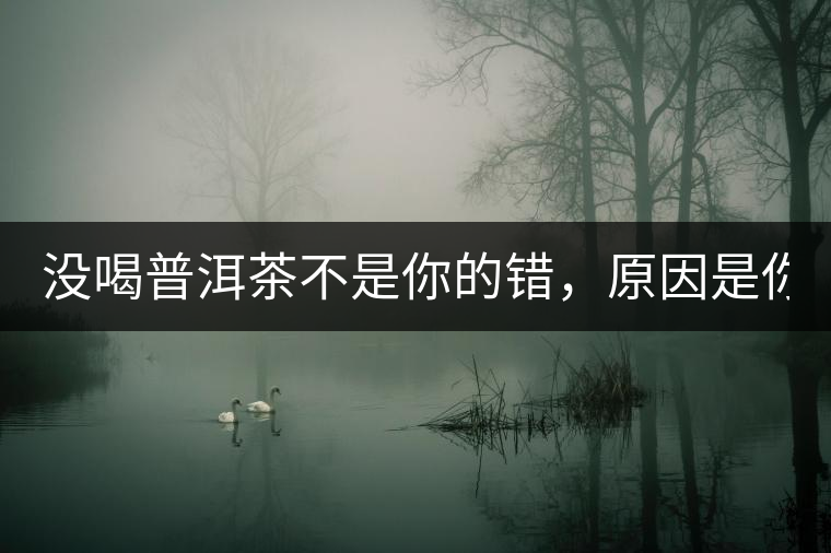 沒喝普洱茶不是你的錯，原因是你還沒遇到Y(jié)671與Y562