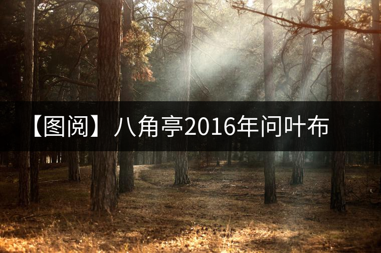 【圖閱】八角亭2016年問葉布朗開湯圖集錦 【圖閱】八角亭2016年問葉布朗開湯圖集錦