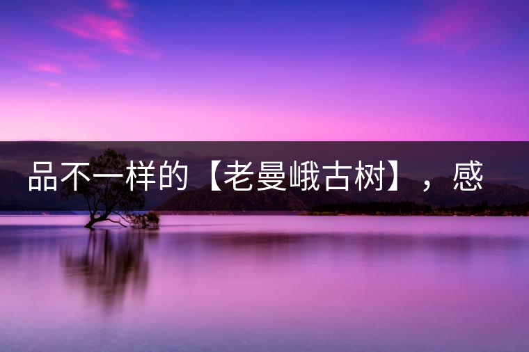 品不一樣的【老曼峨古樹】，感受別樣甘甜與溫婉