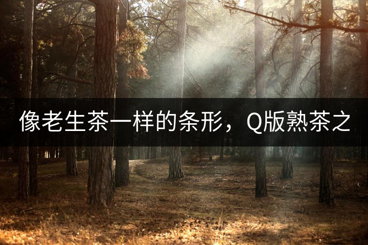 像老生茶一樣的條形，Q版熟茶之【融璞】