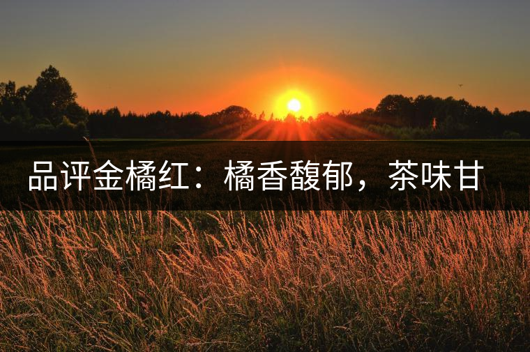品評金橘紅：橘香馥郁，茶味甘醇，匠心拼配，臻于至善