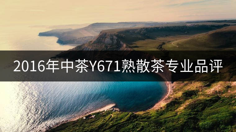 2016年中茶Y671熟散茶專業(yè)品評(píng)