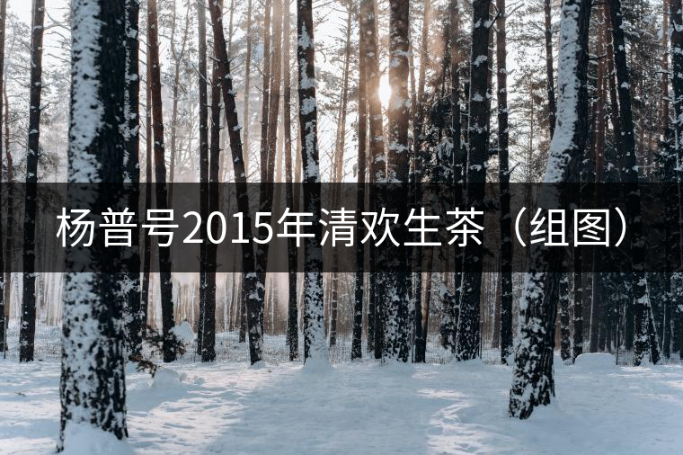 楊普號2015年清歡生茶（組圖）