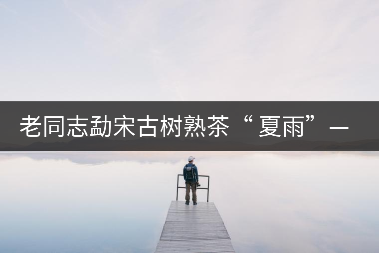 老同志勐宋古樹熟茶“ 夏雨”— 飲茶伴夏，只為您！