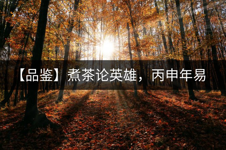 【品鑒】煮茶論英雄，丙申年易武麻黑