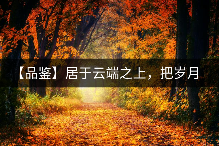 【品鑒】居于云端之上，把歲月“熟”透