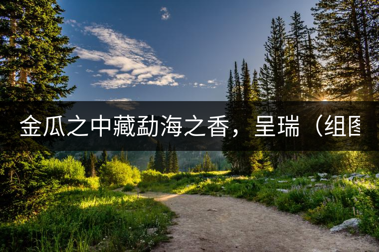 金瓜之中藏勐海之香，呈瑞（組圖）