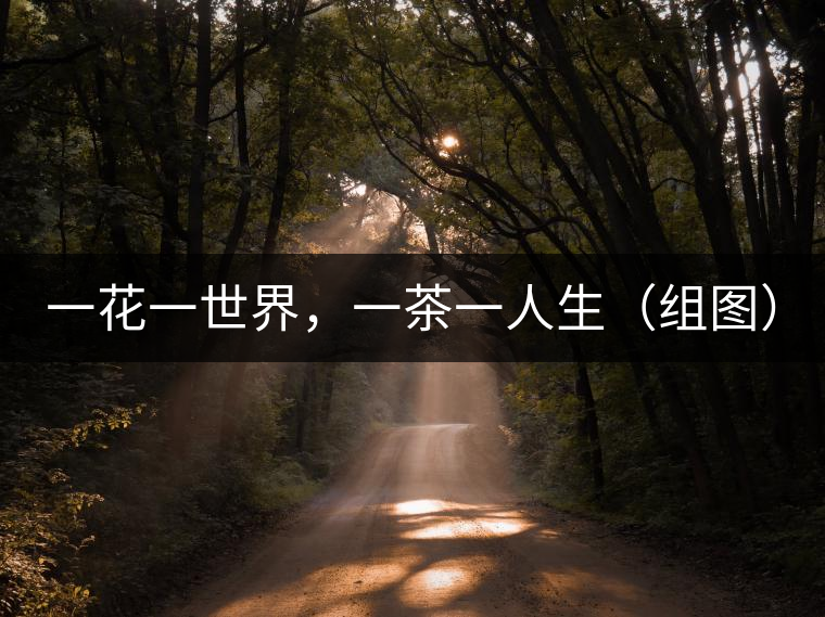 一花一世界，一茶一人生（組圖）