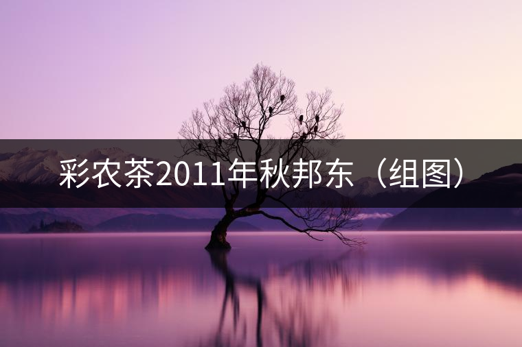 彩農(nóng)茶2011年秋邦東(組圖) 彩農(nóng)茶2011年秋邦東(組圖)