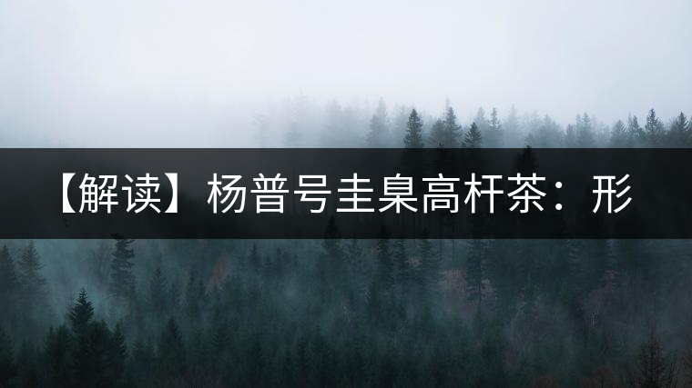 【解讀】楊普號圭臬高桿茶：形高、氣足、韻遠的一款茶