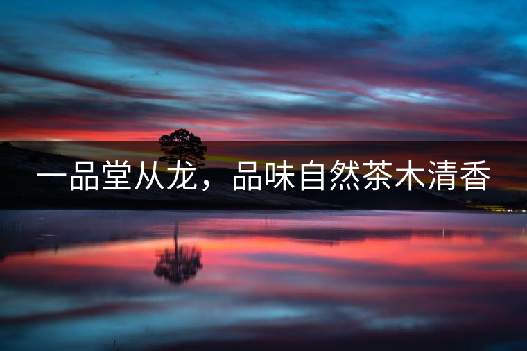 一品堂從龍，品味自然茶木清香
