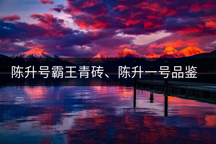 陳升號(hào)霸王青磚、陳升一號(hào)品鑒【圖】