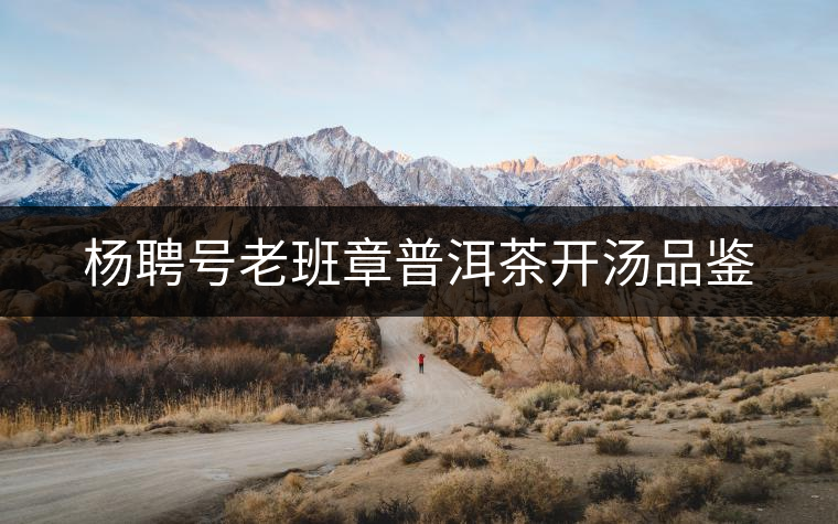 楊聘號(hào)老班章普洱茶開(kāi)湯品鑒 楊聘號(hào)老班章普洱茶開(kāi)湯品鑒